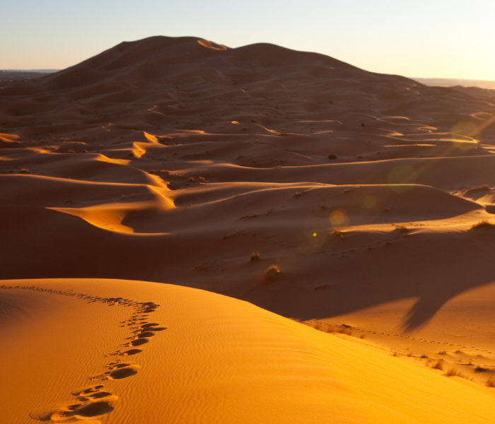 Marche dans le désert