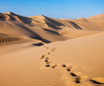 traversée du désert